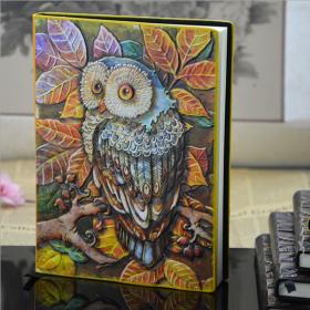 Handmade notebook(The owl Colors A5)