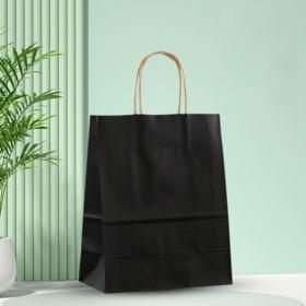 Kraft paper carry bag(15*8*21)